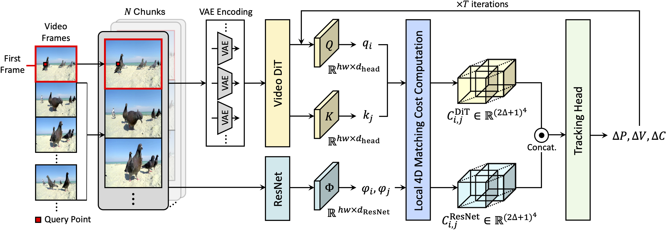 DiTracker method overview
