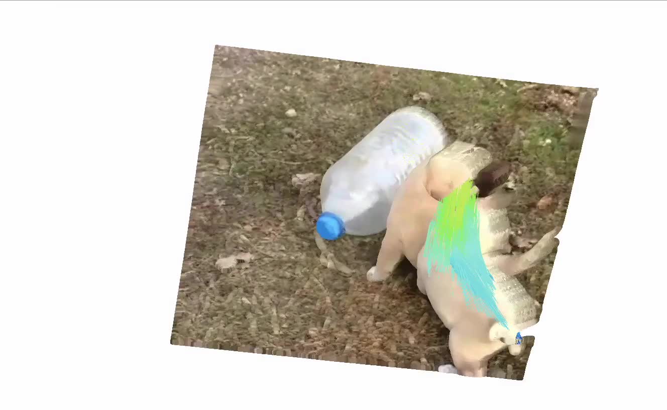 Two Dogs