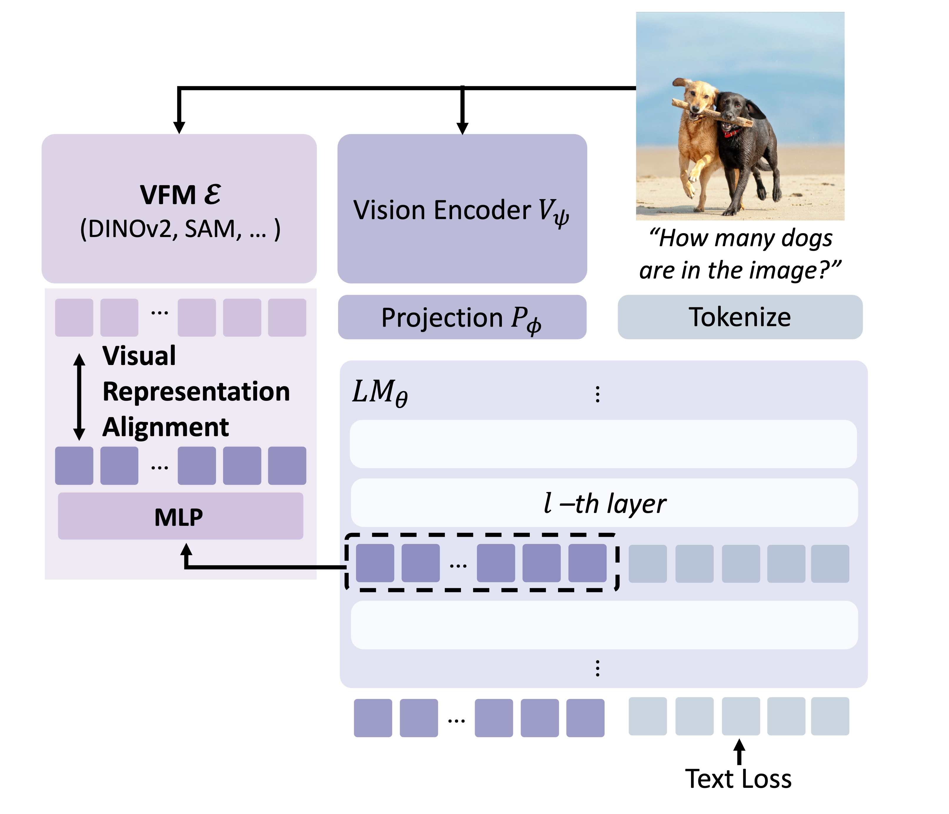VIRAL framework illustration